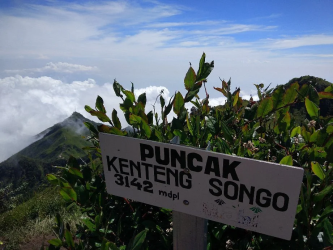 Mount Merbabu Camping (2d1n) via Suwanting