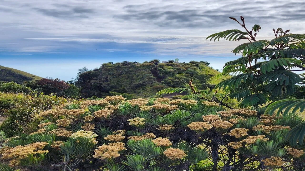 Gal-6 Merbabu 