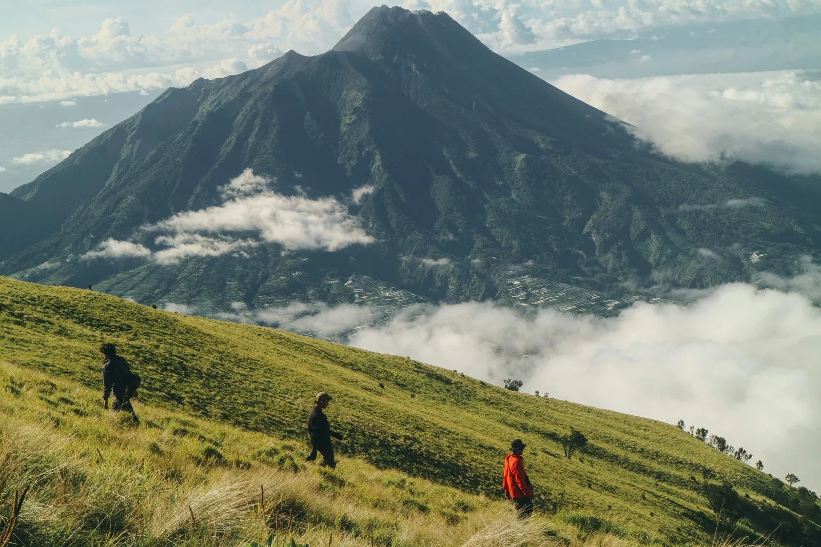 Gal-5 Merbabu